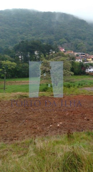 Terreno à venda - Foto 3