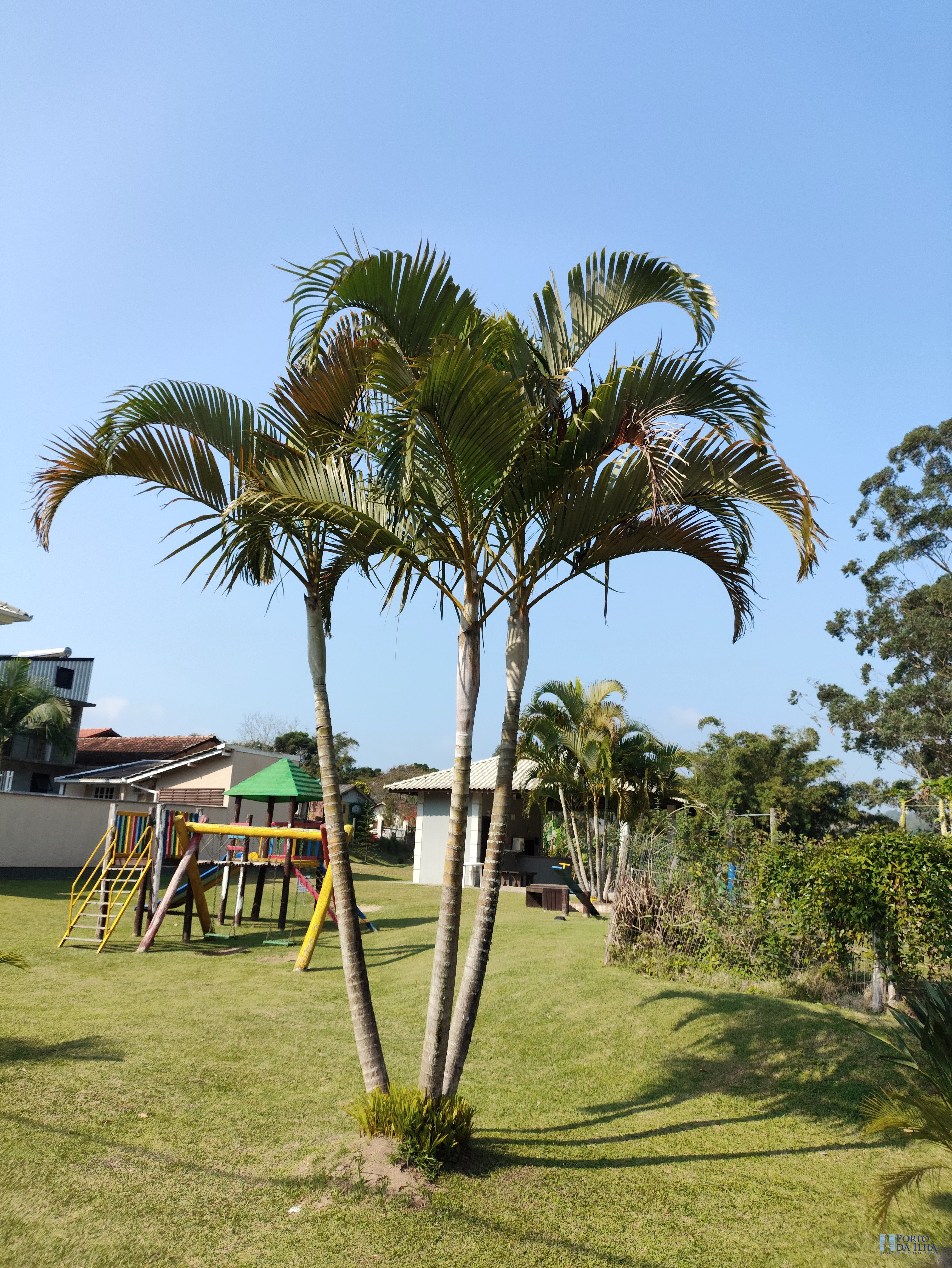 Terreno à venda, 420 - Foto 7