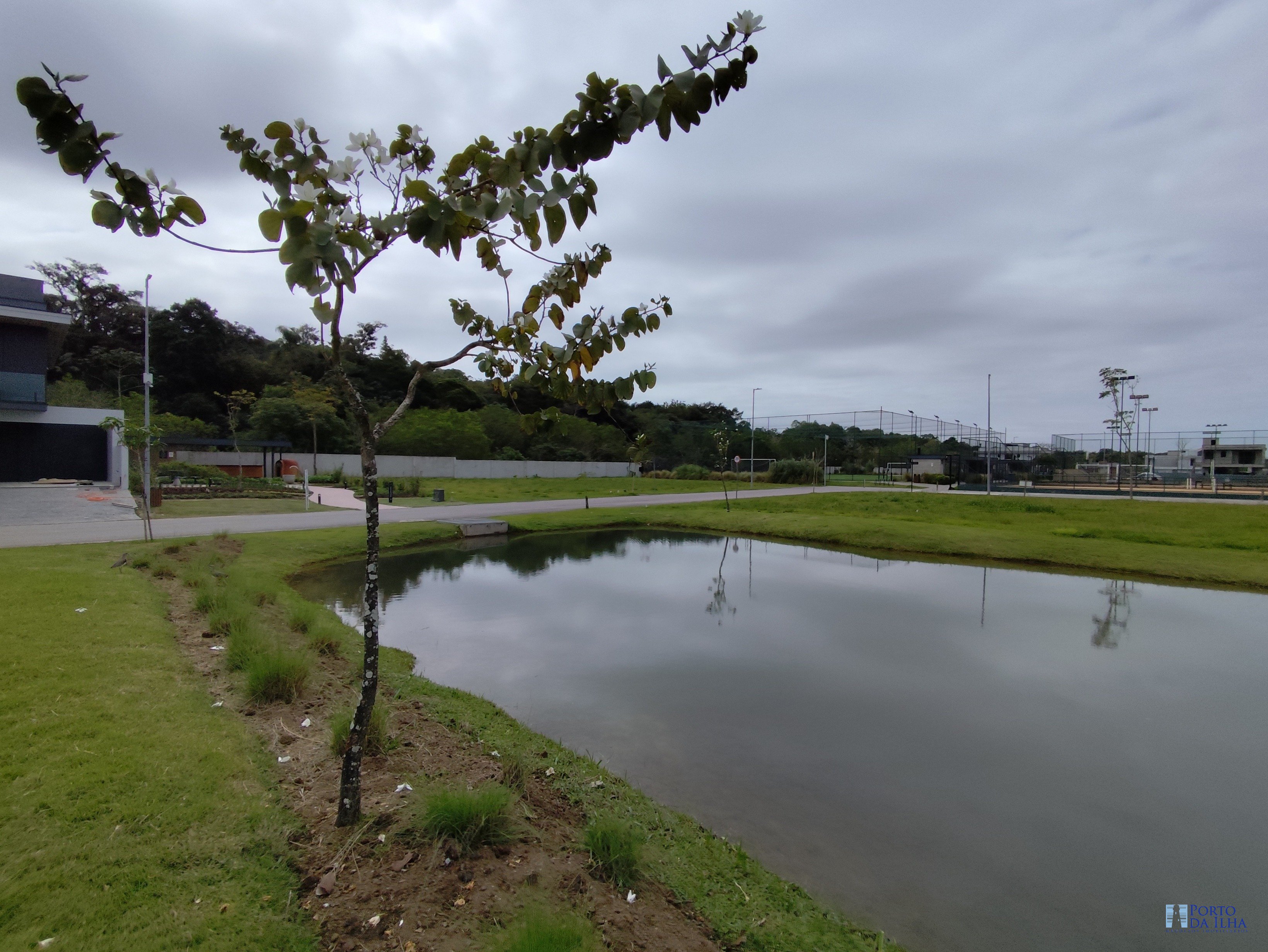 Terreno à venda, 300 - Foto 4